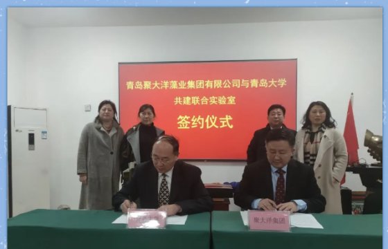 凝生命智慧 聚天下大洋┃聚大洋集團(tuán)與青島大學(xué)舉行海藻大健康產(chǎn)品開(kāi)發(fā)及生物質(zhì)高值化利用聯(lián)合實(shí)驗(yàn)室簽約儀式