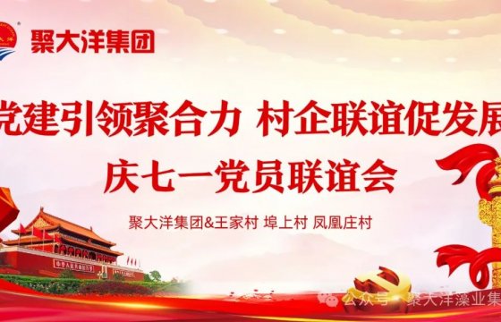黨建引領(lǐng)聚合力，村企聯(lián)誼促發(fā)展┃聚大洋集團(tuán)舉辦慶七一村企黨員聯(lián)誼會(huì)