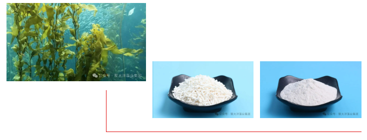 微信圖片_20240820091303