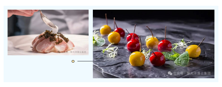 微信圖片_20240820091617